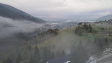 Sisli bir sabah ve dağlarda sisli hava manzarası..