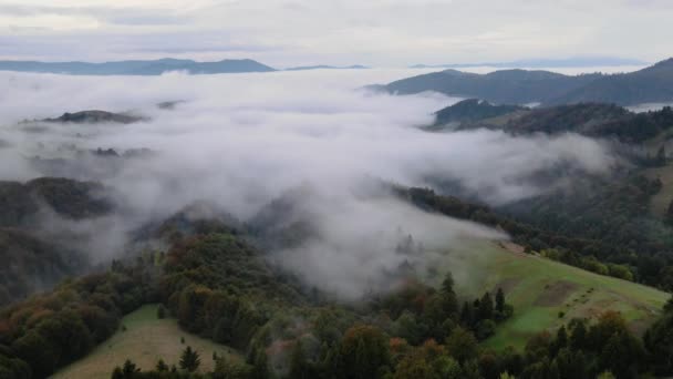 Montañas con niebla, vista aérea — Vídeos de Stock