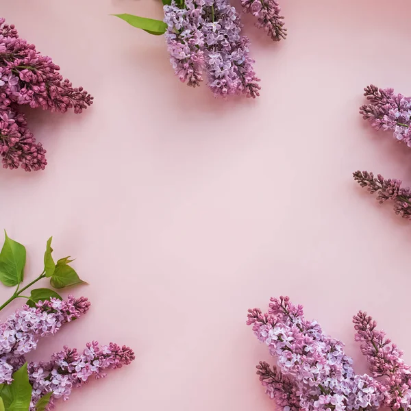 Fialové šeříkové jarní květy na pastelovém pozadí — Stock fotografie