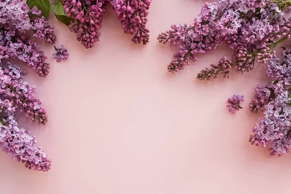 Fialové šeříkové jarní květy na pastelovém pozadí — Stock fotografie