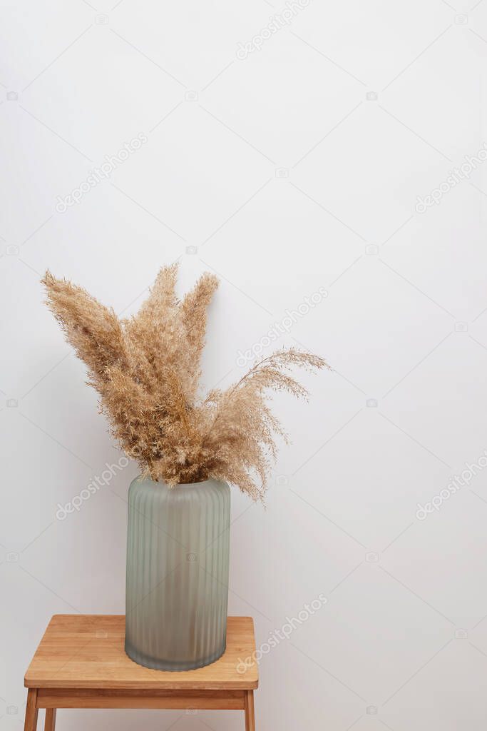 Pampas grass in opaque glass vase