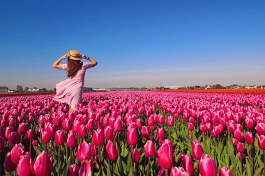 Pembe elbiseli ve hasır şapkalı kadın lale tarlasında duruyor.