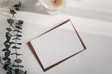 Boş kağıt kart ve okaliptüs dalları beyaz masada..