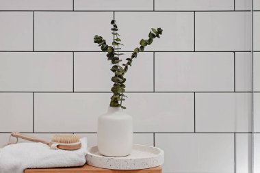 Vazoda masaj fırçası ve okaliptüs dalları.