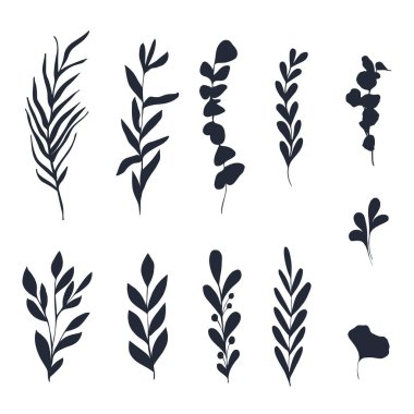 Botanik el çizimi dallar ve yapraklar.