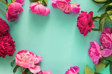 Mavi arka planda güzel pembe şakayıklardan yapılmış çerçeve.