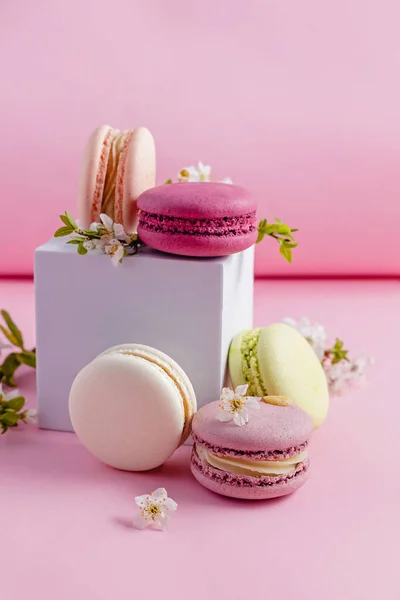 Composition nature morte avec des macarons et des branches d'arbres en fleurs — Photo