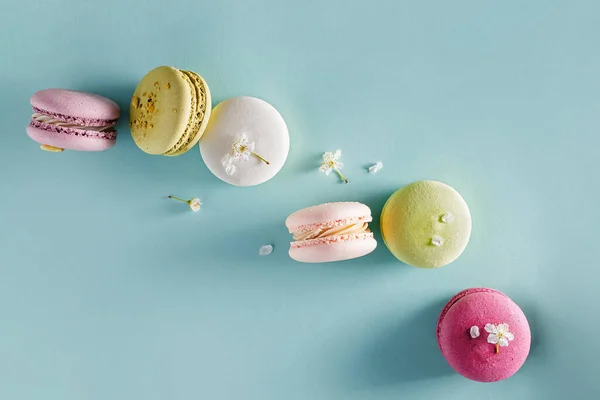 French dessert macarons and spring tree blossom — Stock Photo, Image