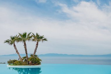 Tropikal palmiyeli Büyük Sonsuzluk Lüks Yüzme Havuzu.