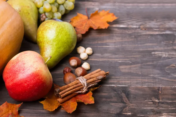 Cosecha de otoño — Foto de Stock