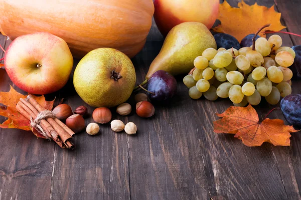 Herfst oogst — Stockfoto