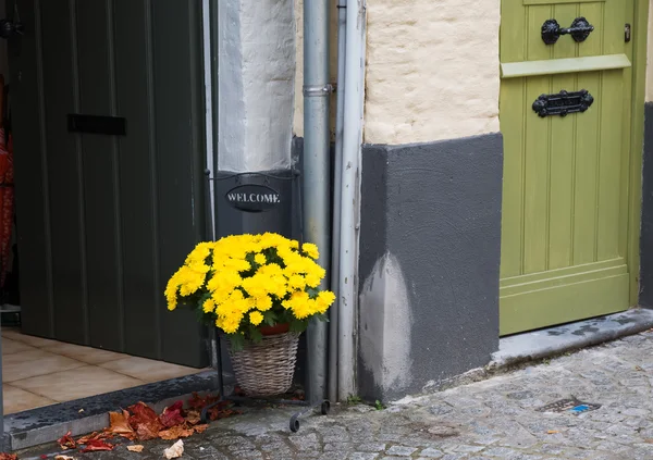 Yellow flowers near the entrance door — Stock Photo, Image