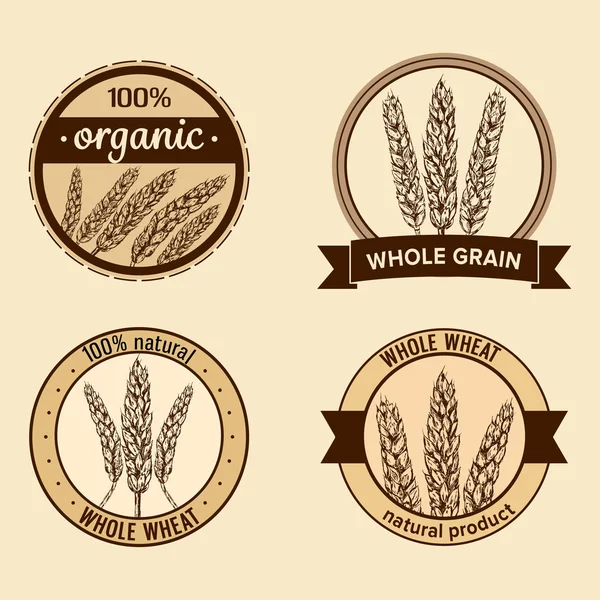 Set di quattro etichette con spighe di grano trafilate a mano — Vettoriale Stock