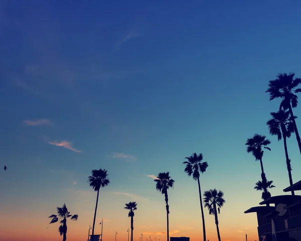 Silhouette of palm trees on the sunset — Stock Photo, Image