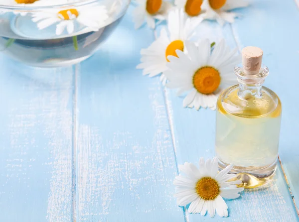 Aroma oil and camomile flowers on the blue wooden background — Stock Photo, Image