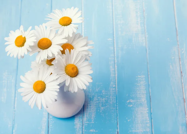 Madeliefjes in een vaas op blauwe houten achtergrond — Stockfoto