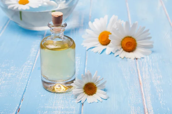 Aroma oil and camomile flowers on blue wooden background — Stock Photo, Image