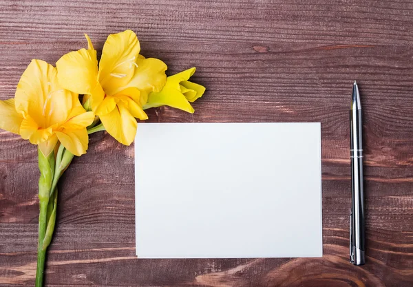 Sarı çiçek, boş kağıt levha ve kalem ahşap tablo — Stok fotoğraf