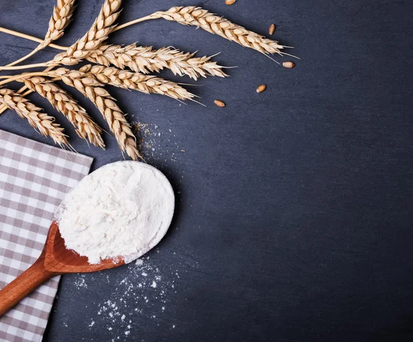 Flour and wheat on the black board — Stock Photo, Image