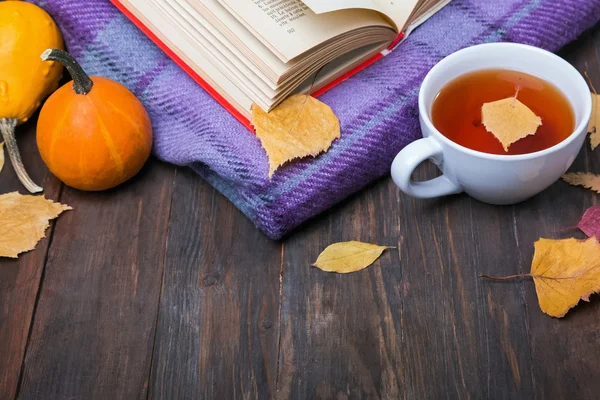 Foglie giallo autunno, zucche, tè, coperta e libro — Foto Stock