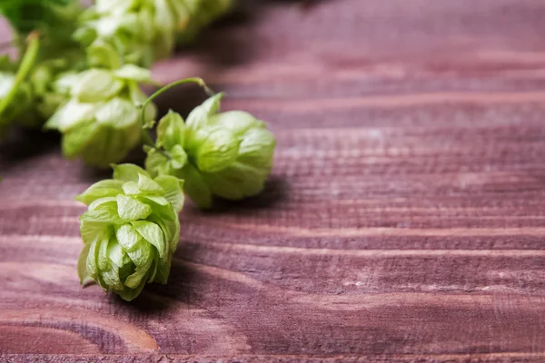 Hopfenzapfen auf dem hölzernen Hintergrund — Stockfoto