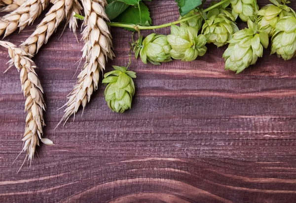 Coni di luppolo e spighe di grano sullo sfondo di legno — Foto Stock