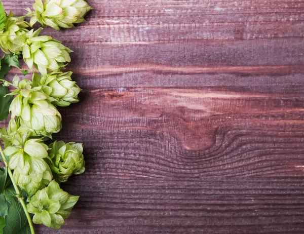 Hopfenzapfen auf dem hölzernen Hintergrund — Stockfoto