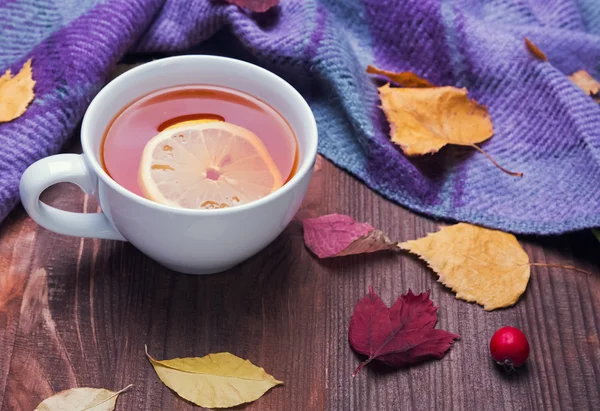 Fincan çay, battaniye ve sarı yapraklar — Stok fotoğraf