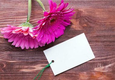 İki pembe gerbera çiçekleri ve boş kağıt