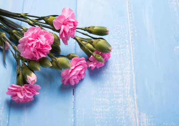 Oběd krásné růžové květy — Stock fotografie
