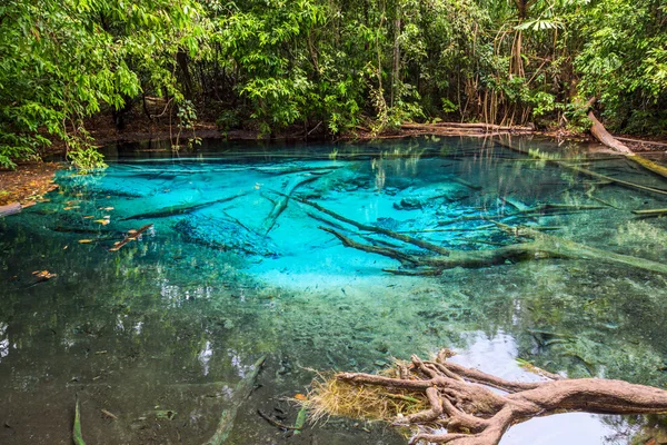 Tropické jezero v džungli — Stock fotografie