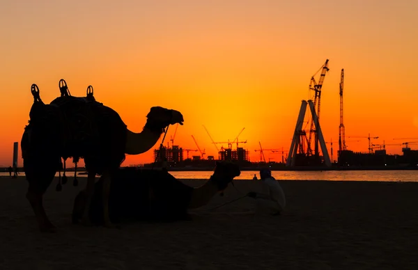 Dubai silhouette at the sea sunset — Zdjęcie stockowe