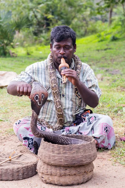 Snake charmer and cobra in old basket — Stock Photo, Image