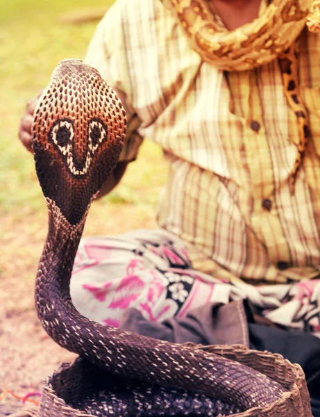 Snake charmer adult man — Stock Photo, Image