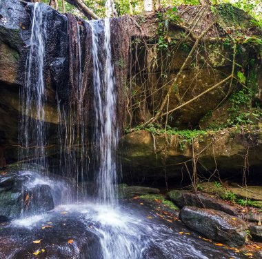 şelale yağmur ormanı