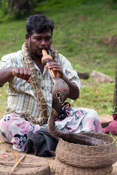 Encantador de serpientes jugando con cobra —  Fotos de Stock