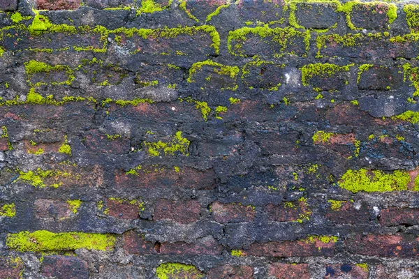 Muur achtergrond textuur steen — Stockfoto