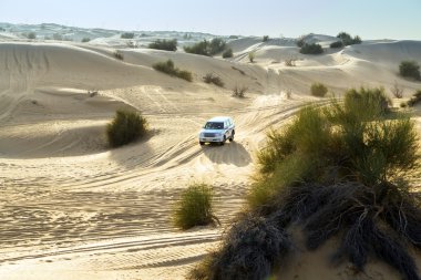 Çöl Safarisi 'nde jipler sürüyorum.