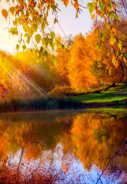 Podzimní přirozeného pozadí — Stock fotografie