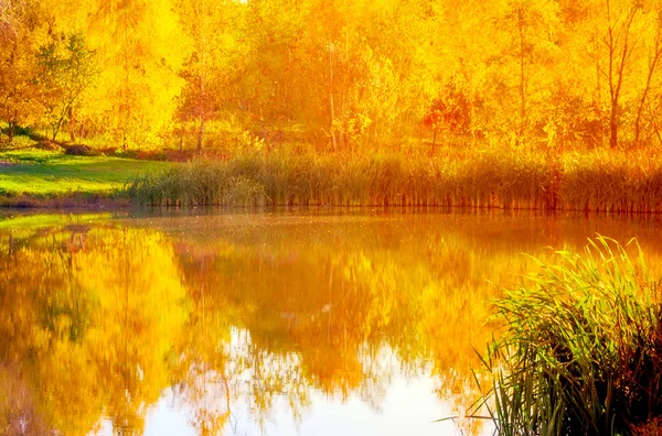 Herbstlandschaft natürlich — Stockfoto