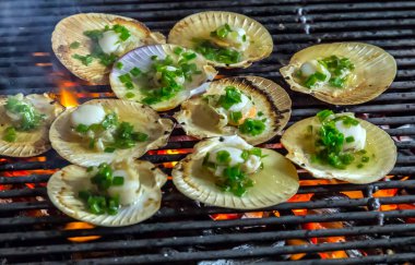 BBQ deniz ürünleri ateşte, istiridyeler ızgara deniz ürünleri deniz ürünleri, deniz ürünleri ve yiyecek geçmişi.