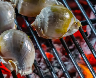 Üst Manzara Kızarmış Midye Et Rapa Eniği Izgara Deniz Ürünleri