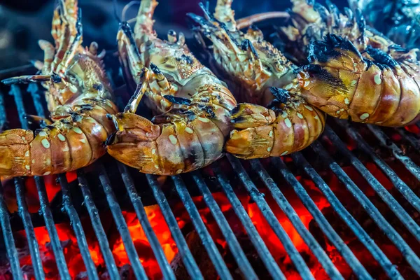 tiger prawns roasted shrimps grill scampi