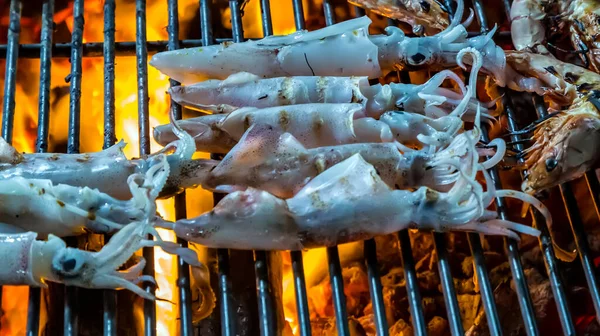 章鱼海鲜烧烤炸鱿鱼 — 图库照片