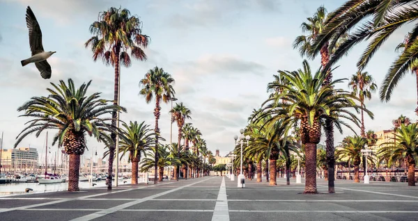 Barcelona Promenade City Street Asphalt — Stock Photo, Image