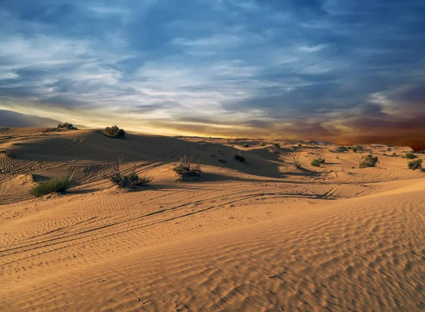 Panoramisch Landschap Landschap Auto Tracks Markeert Woestijn Zandduinen — Stockfoto