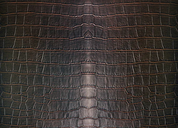 Crocodilo Couro Marrom Escuro Animais Jacaré Textura Fundo — Fotografia de Stock