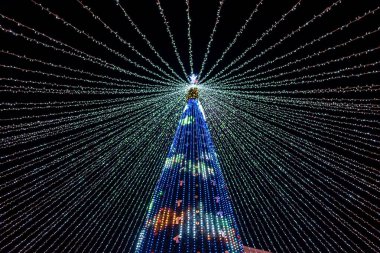 Keklik Yeşili Işığı Ilık Beyaz Noel Ağacı Işıkları Led String Lights. Bulanık bulanık odaklanmış sim bokeh arkaplanı