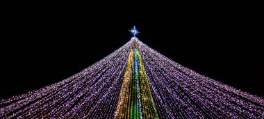 Peri Yayı Lambası Noel Ağacı Tatili 'ni aydınlatıyor. Bulanık bulanık odaklanmış sim bokeh arkaplanı