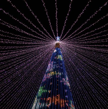 Northlight Noel ağacı ışıkları. Bulanık bulanık odaklanmış sim bokeh arkaplanı